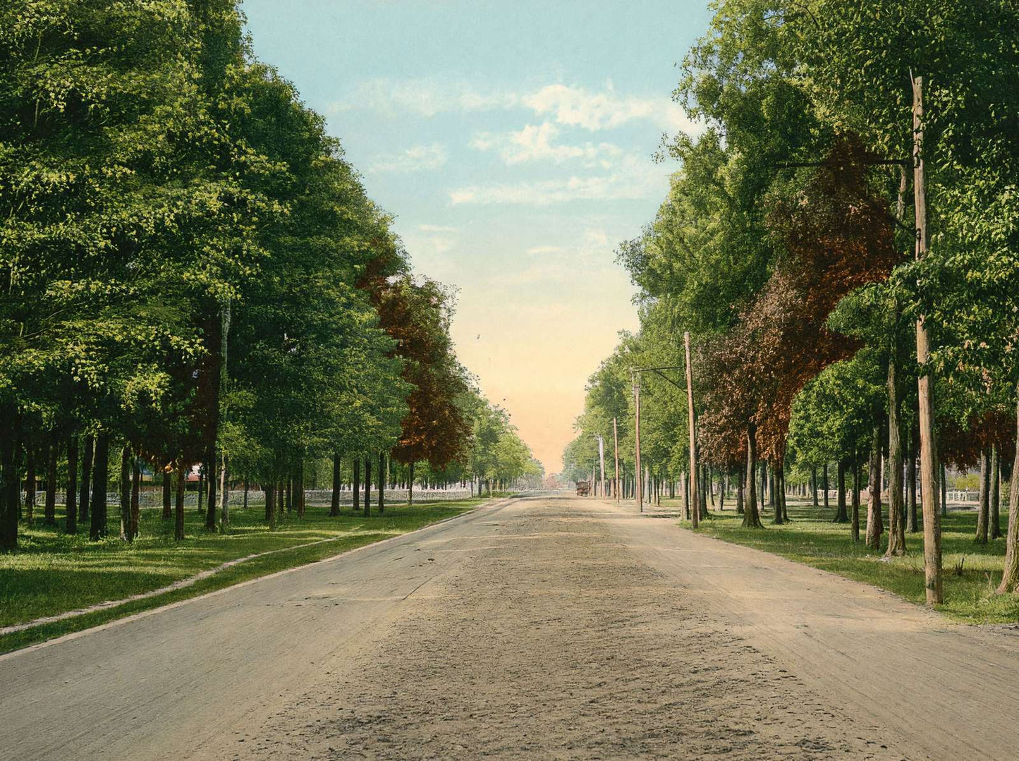 The Boulevard Houston Heights in 1906 Vintage Print (7 Sizes) - Restored