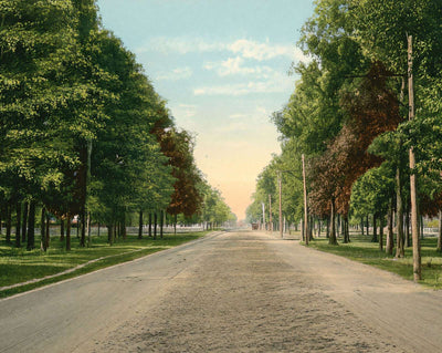 The Boulevard