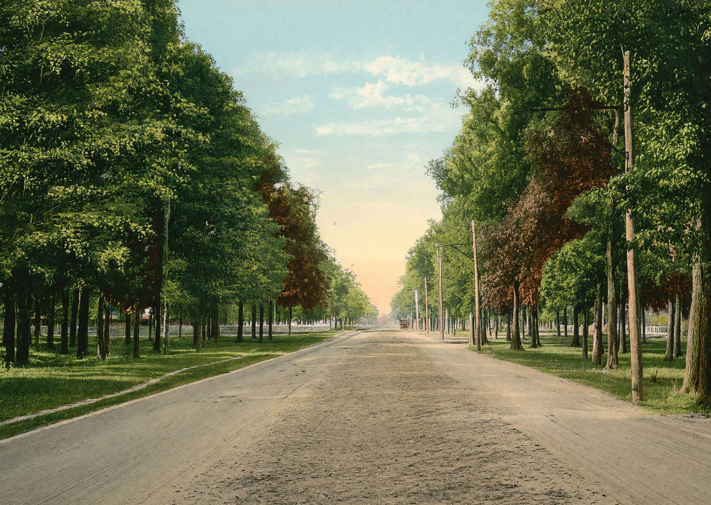 The Boulevard Houston Heights in 1906 Vintage Print (7 Sizes) - Restored