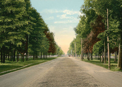 The Boulevard Houston Heights in 1906 Vintage Print (7 Sizes) - Restored