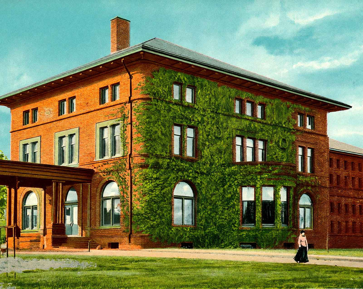Bronson's Public Library