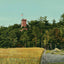 Glimpse of Ethan Allen Tower Burlington VT in 1907 Vintage Print (7 Sizes)