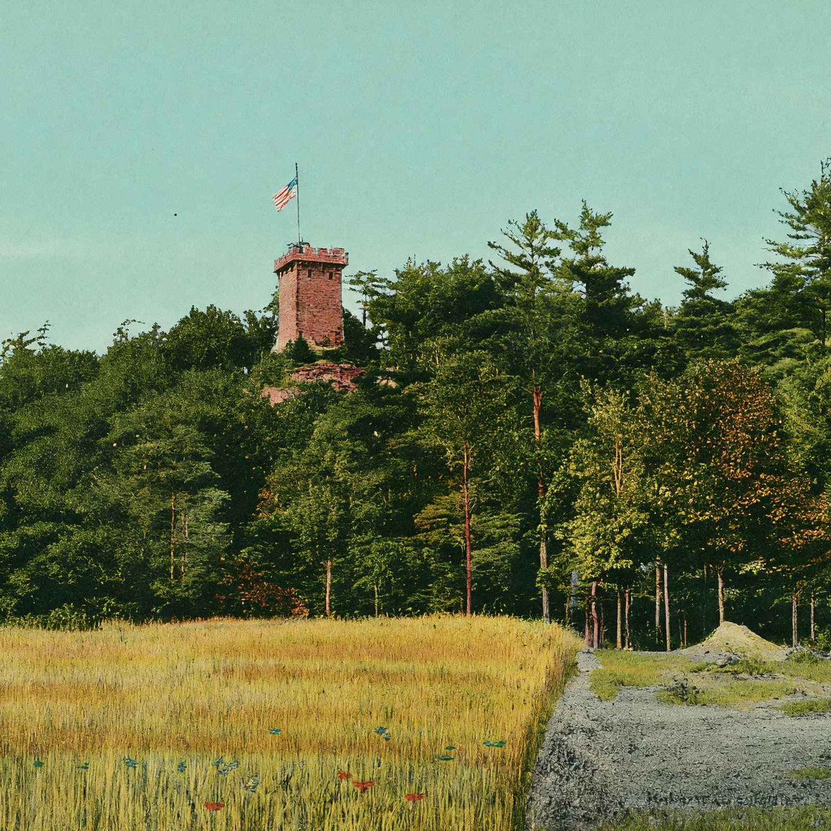 Glimpse of Ethan Allen Tower Burlington VT in 1907 Vintage Print (7 Sizes)