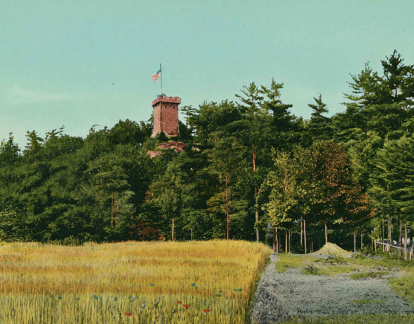 Glimpse of Ethan Allen Tower Burlington VT in 1907 Vintage Print (7 Sizes)