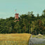 Glimpse of Ethan Allen Tower Burlington VT in 1907 Vintage Print (7 Sizes)