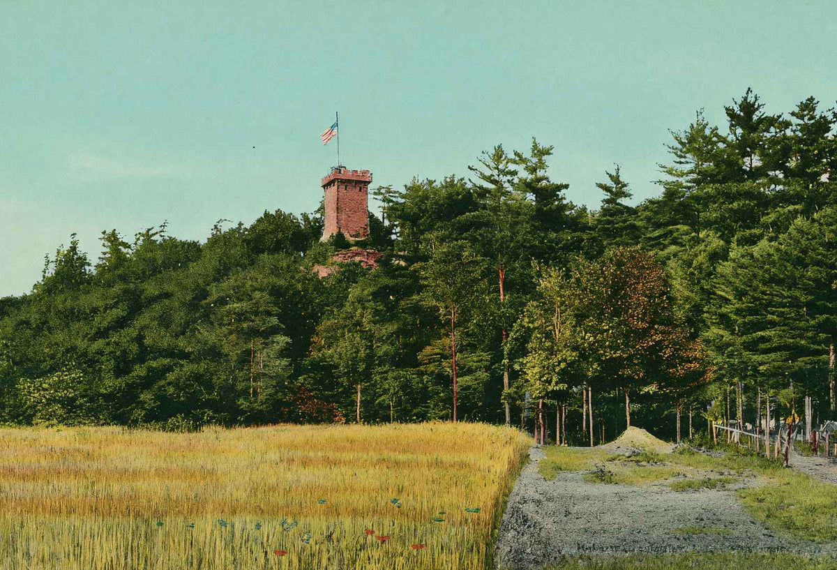 Glimpse of Ethan Allen Tower Burlington VT in 1907 Vintage Print (7 Sizes)