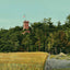 Glimpse of Ethan Allen Tower Burlington VT in 1907 Vintage Print (7 Sizes)