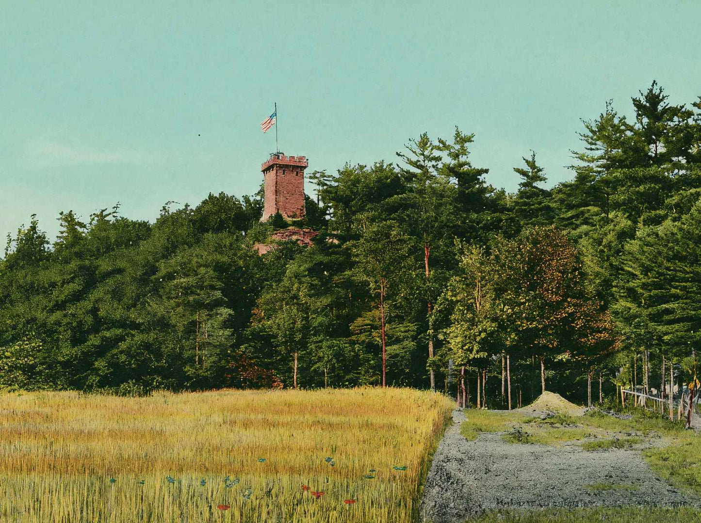 Glimpse of Ethan Allen Tower Burlington VT in 1907 Vintage Print (7 Sizes)