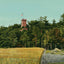 Glimpse of Ethan Allen Tower