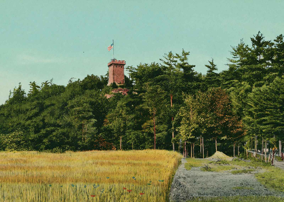 Glimpse of Ethan Allen Tower Burlington VT in 1907 Vintage Print (7 Sizes)