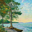 Burlington Bay South VT in 1907 Art Print (7 Sizes) - Premium Print