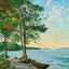 Burlington Bay South VT in 1907 Art Print (7 Sizes) - Premium Print
