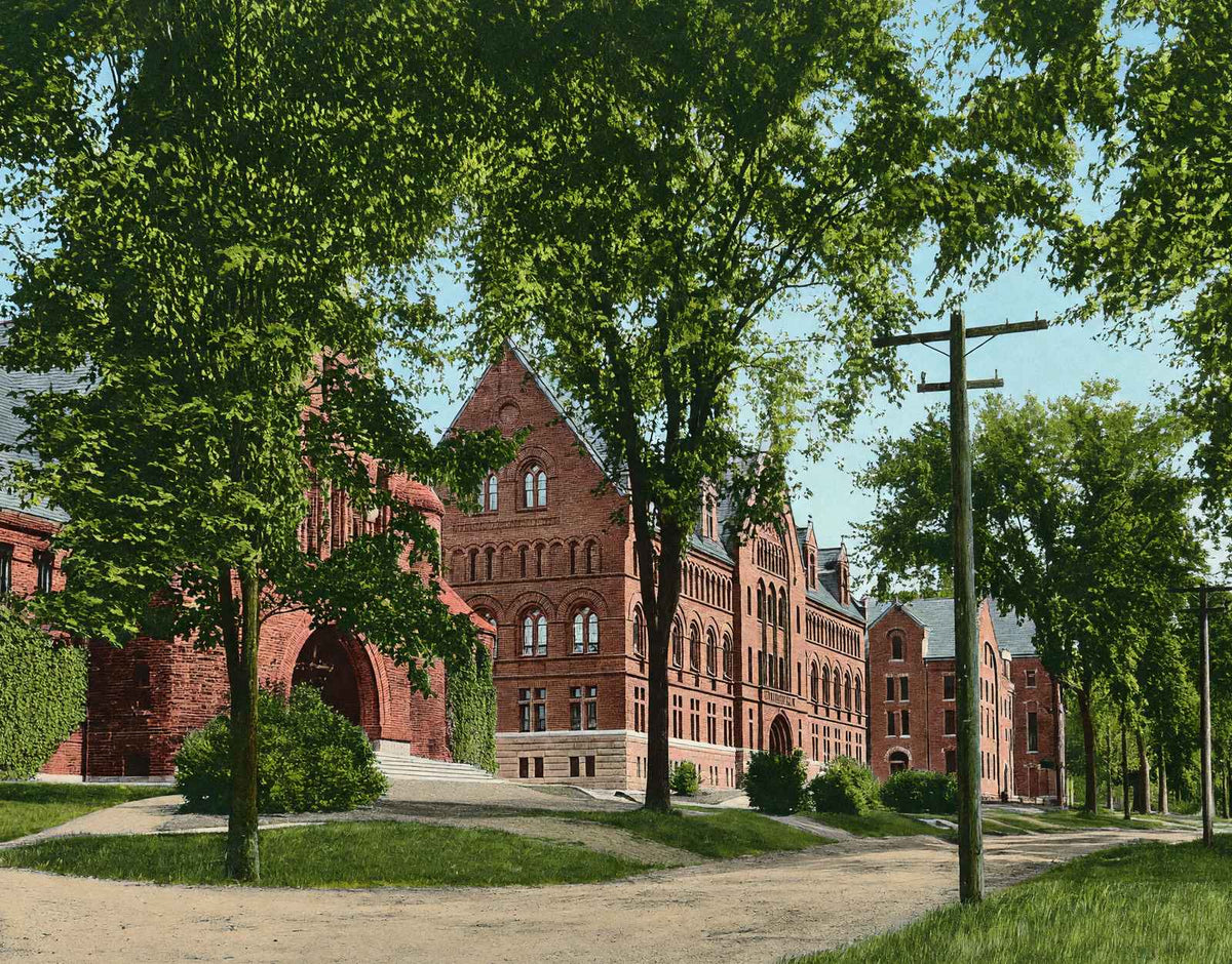 College Row University of Vermont Burlington VT in 1907 Vintage Print