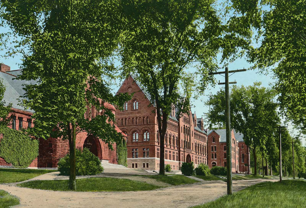 College Row University of Vermont Burlington VT in 1907 Vintage Print