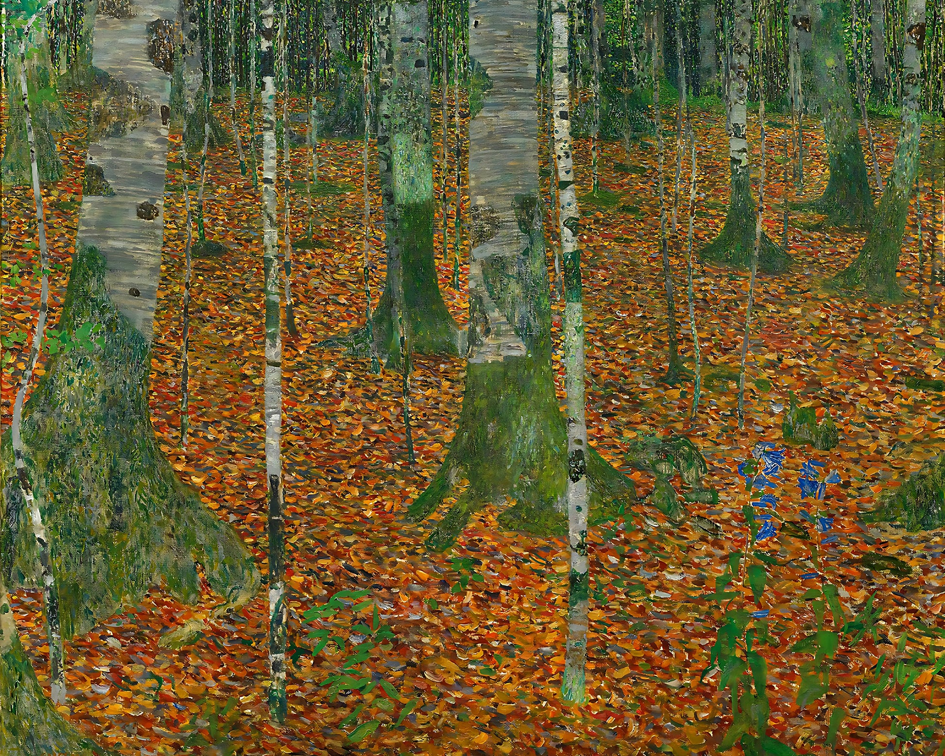 Birch Forest Painting by Gustav Klimt 8x10" Nature Art Print (Trees)