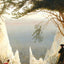 Chalk Cliffs on Rugen 1819 by Caspar David Friedrich Fine Art Print (6 Sizes)