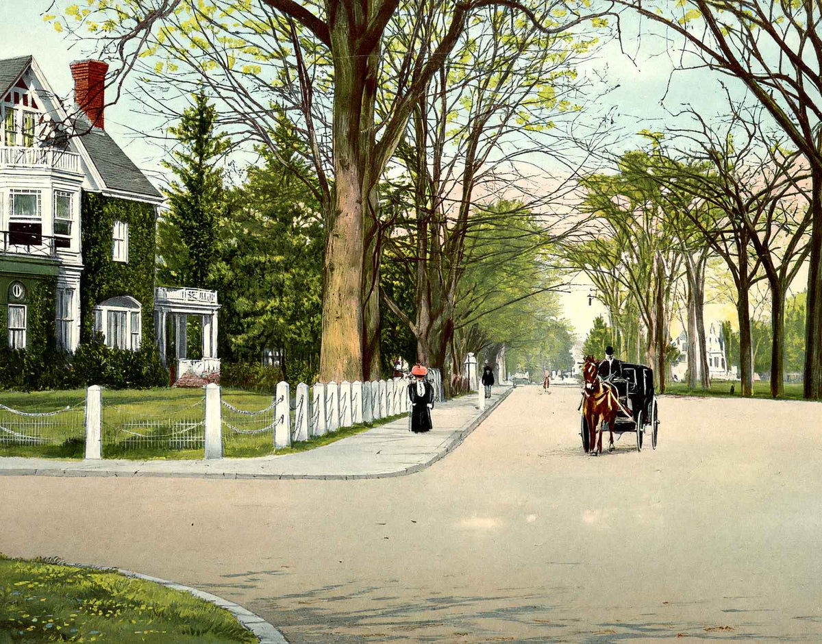 Chelsea Parade Norwich CT in 1908 Vintage Print (7 Sizes) - Retouched