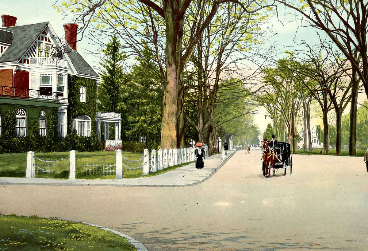 Chelsea Parade Norwich CT in 1908 Vintage Print (7 Sizes) - Retouched