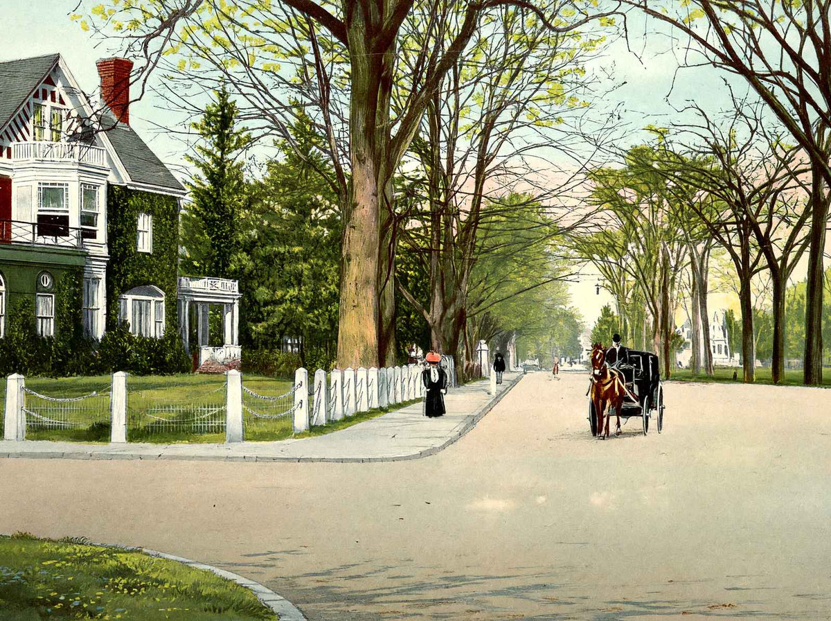 Chelsea Parade Norwich CT in 1908 Vintage Print (7 Sizes) - Retouched