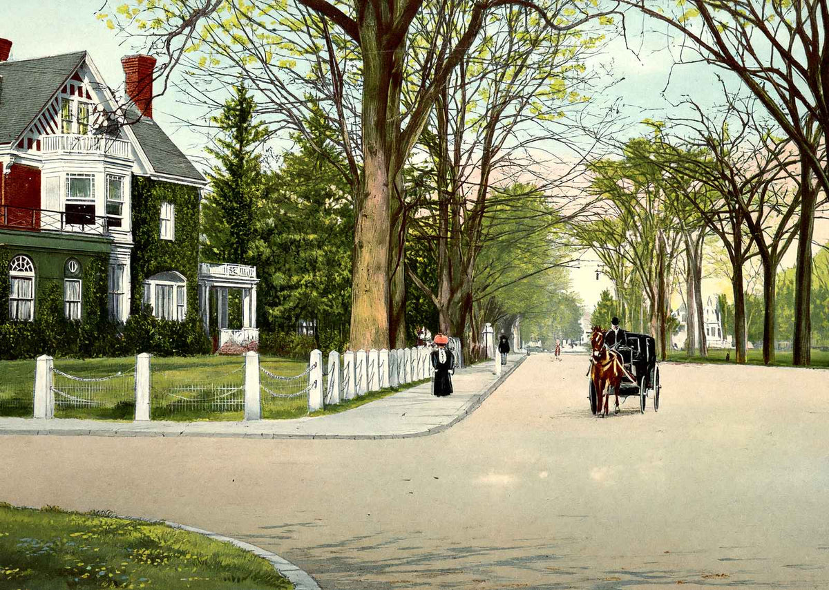 Chelsea Parade Norwich CT in 1908 Vintage Print (7 Sizes) - Retouched