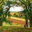 Chestnut Trees at Osny Art Print 1873 Painting by Camille Pissarro (6 Sizes)