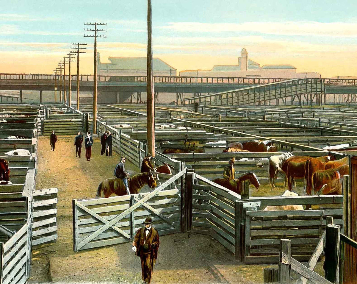 Union Stock Yards