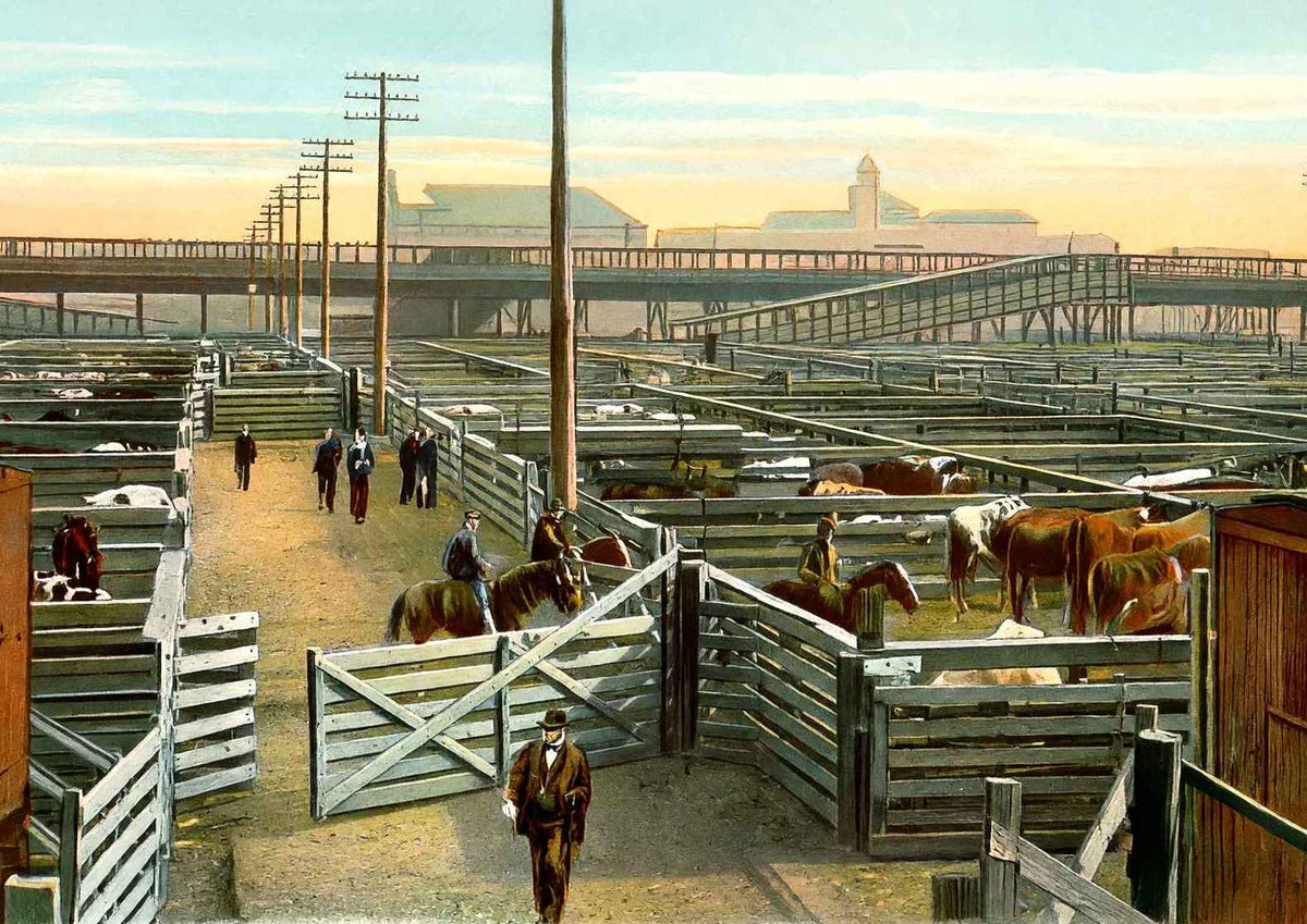 Union Stock Yards Chicago in 1905 Vintage Print (7 Sizes) - Premium Print