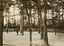 The Circle New Fisherman's Walk Southbourne in 1906 Vintage Print (7 Sizes)