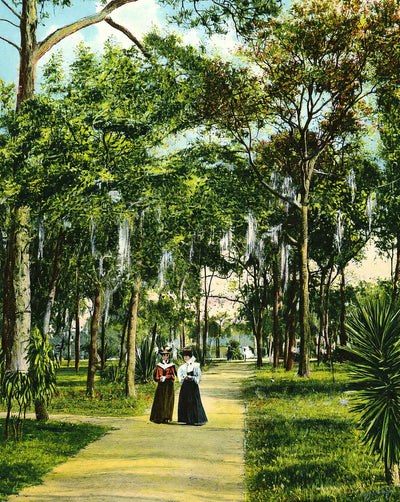 City Park in St Petersburg in 1908 vintage print