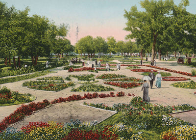 City Park Fort Worth in 1906 Vintage Print (7 Sizes) - High Quality