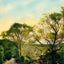 Red Water Brook Road Claremont NH in 1908 Art Print (7 Sizes) - Reproduction