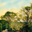 Red Water Brook Road Claremont NH in 1908 Art Print (7 Sizes) - Reproduction