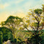 Red Water Brook Road Claremont NH in 1908 Art Print (7 Sizes) - Reproduction