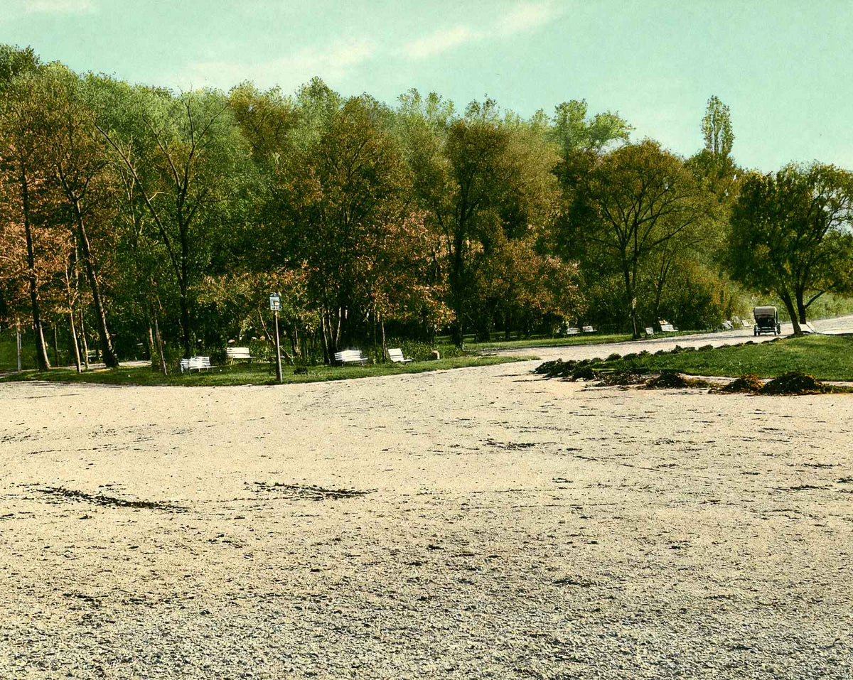Lake Drive