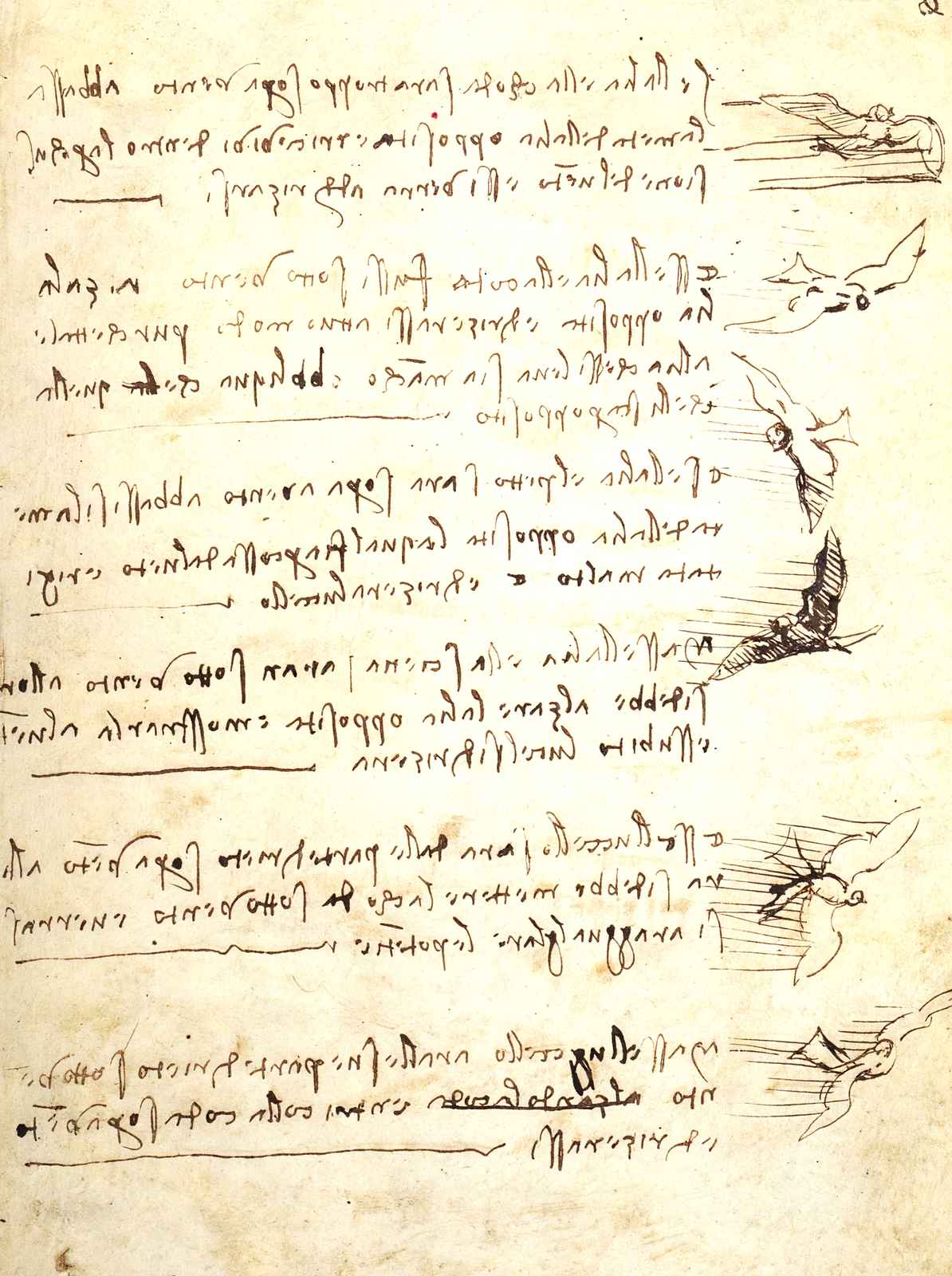 Codex on the Flight of Birds Art Print 1505 Drawing by da Vinci (6 Sizes)