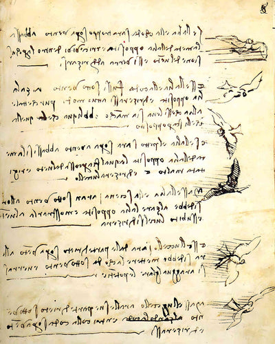 Codex on the Flight of Birds Painting by Leonardo da Vinci 8x10" Art Print