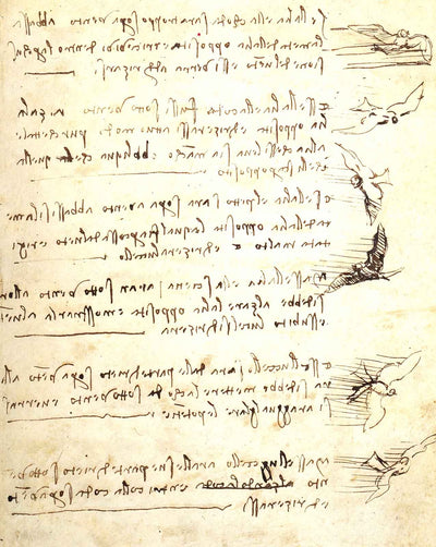 Codex on the Flight of Birds art print by Leonardo da Vinci (1505)