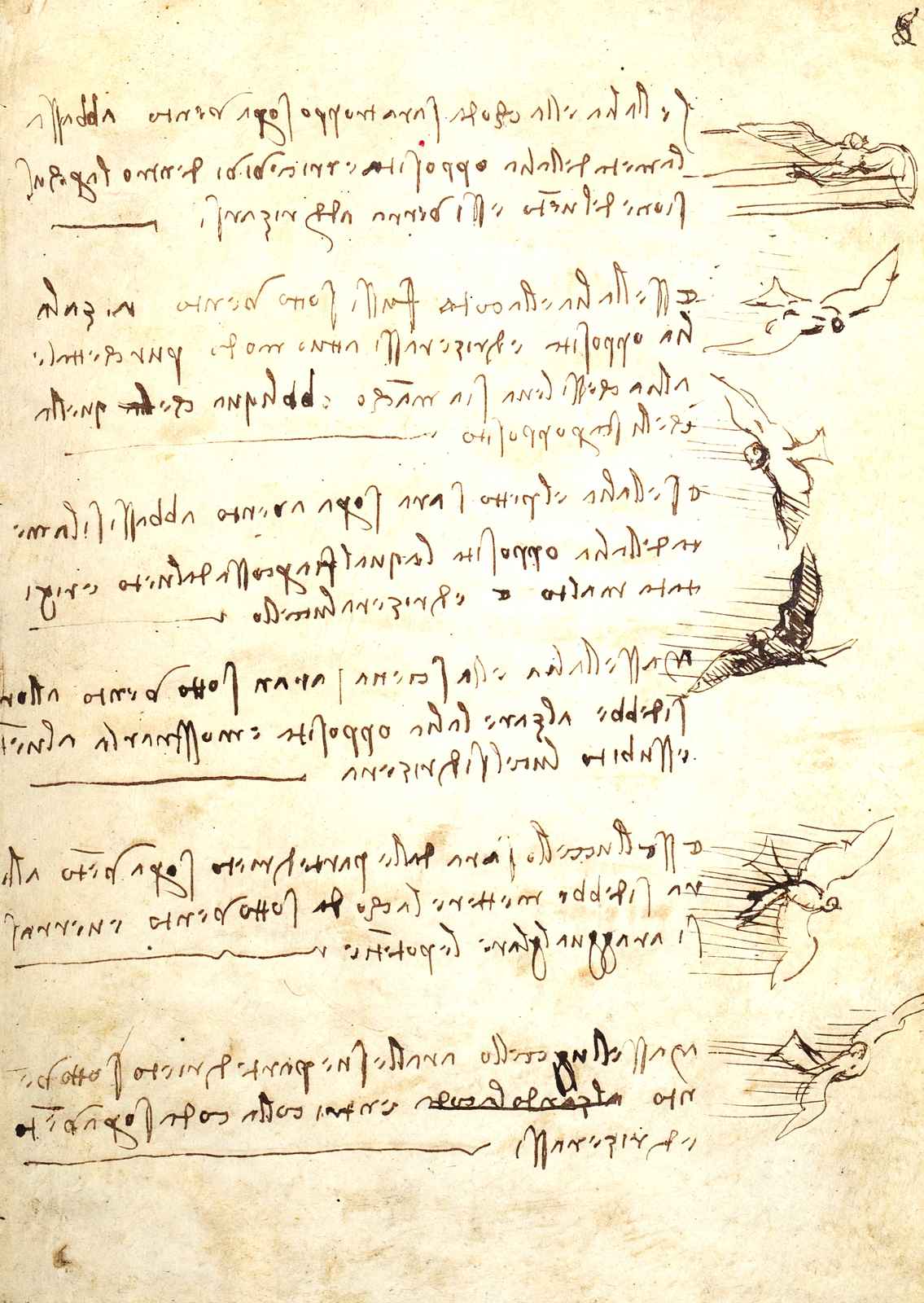 Codex on the Flight of Birds Art Print 1505 Drawing by da Vinci (6 Sizes)