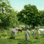 Convent Grounds