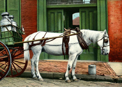 Creole Milk Maid New Orleans in 1905 Vintage Print (7 Sizes) - Reproduction