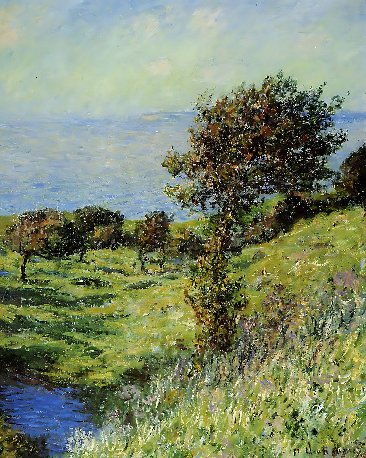 Cliffs of Varengeville
