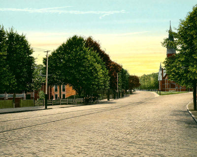 Randolph-Macon Institute & MT. Vernon Church vintage print