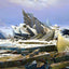Das Eismeer Fine Art Print 1824 Painting by Caspar David Friedrich (6 Sizes)