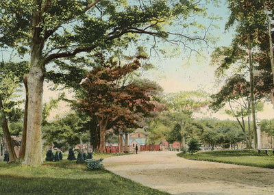 Deering Park Portland Maine in 1908 Vintage Print (7 Sizes) - High Quality