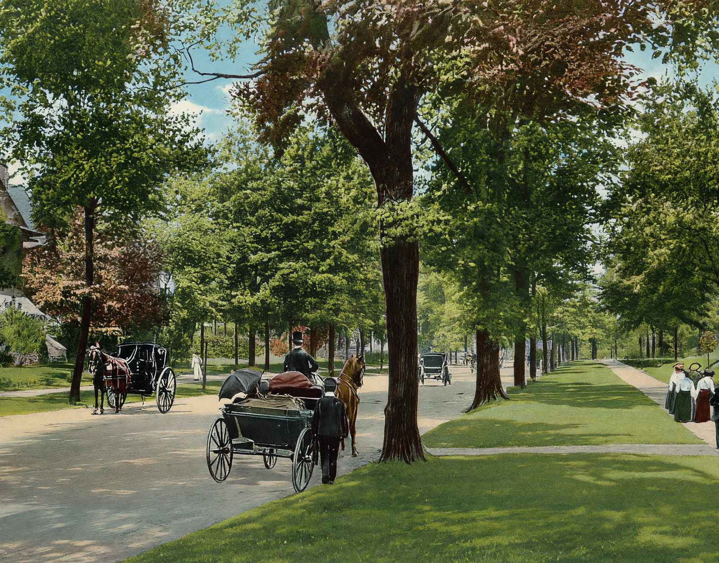 Delaware Avenue Buffalo NY in 1905 Vintage Print (7 Sizes) - Premium Print