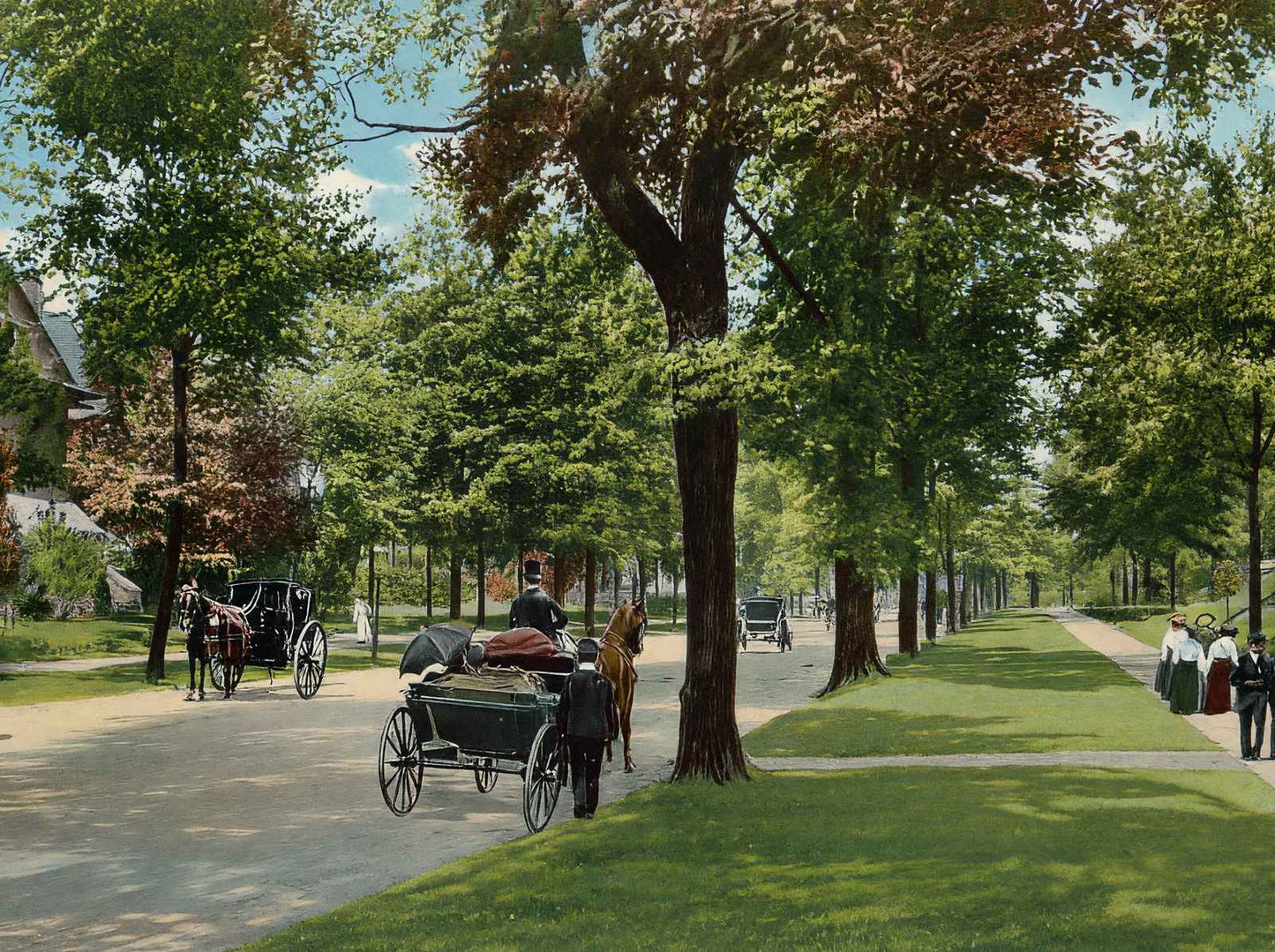 Delaware Avenue Buffalo NY in 1905 Vintage Print (7 Sizes) - Premium Print