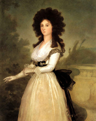 Dona Tadea Arias De Enriquez fine art print by Francisco Goya (1793)