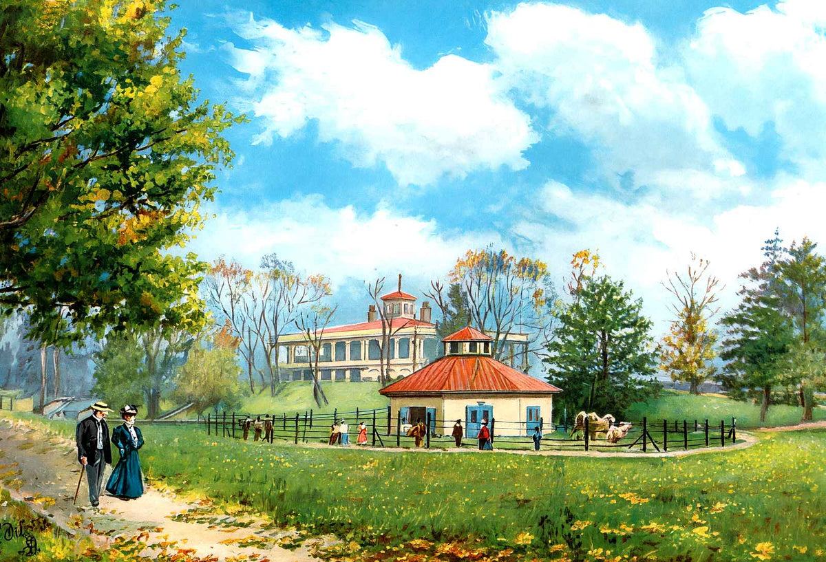 Druid Hill Park Baltimore in 1907 Vintage Print (7 Sizes) - Reproduction