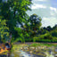 Ducks on the Pond at Montfoucault painting by Camille Pissarro (1874)