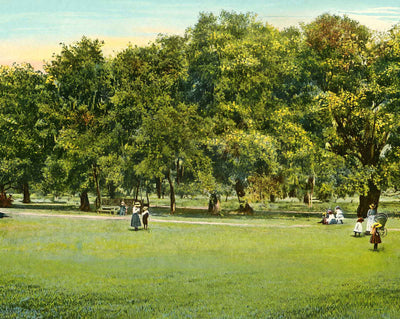 Dueling Oaks